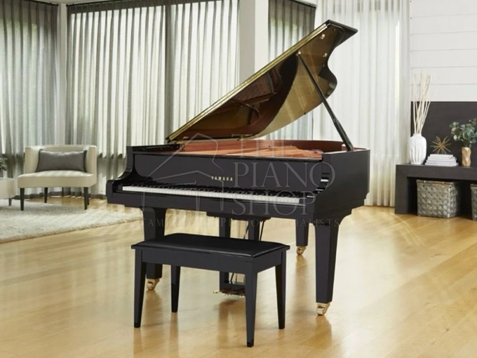 The Piano Shop Cambodia July offer