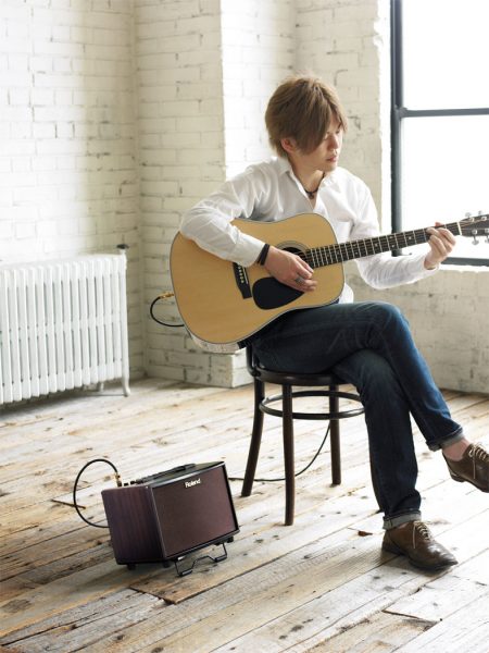 Roland AC-33 Acoustic Chorus, Guitar Amplifier - Image 9