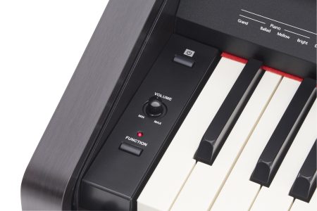 Roland RP-30 Digital Piano - Image 2