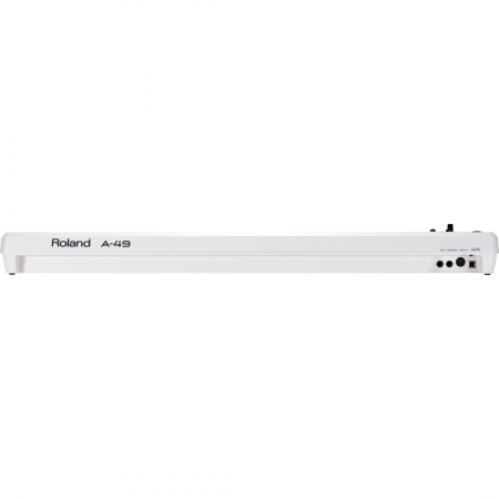 Roland A-49 MIDI Keyboard Controller | White - Image 2